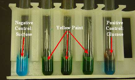 figure1